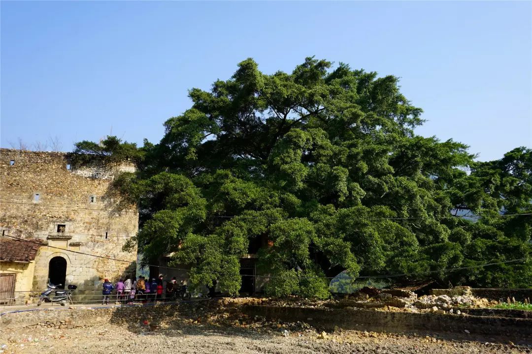 福利丨粤北越北,风景更美,邀你到丹霞灵溪过个红红火火东北年