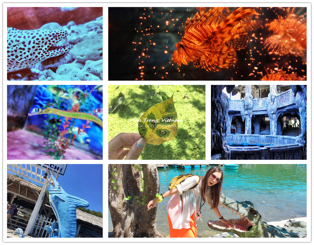 芽庄大海之旅,芽庄海上之旅