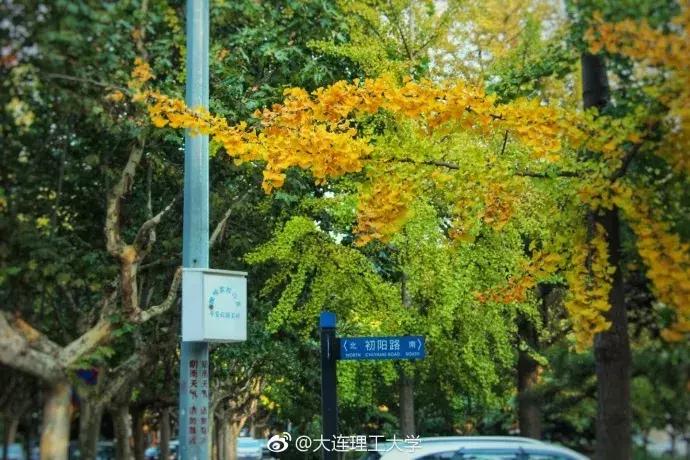 大连理工大学本科生去向,大连理工大学毕业生深造率