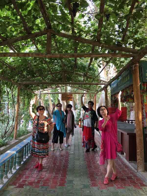 掀起你的盖头来新时代合唱团,掀起你的盖头来梦之旅合唱