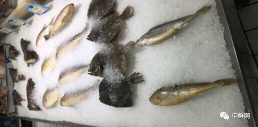 水产养殖技术干货,带鲜味的动物食材