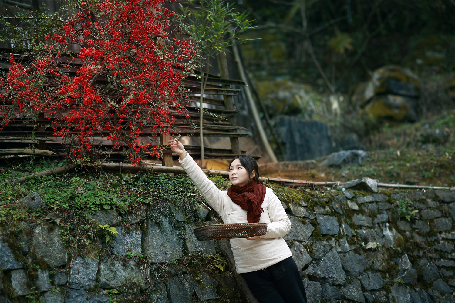 湘西龙脉风水传说,湘西龙山龙脉风水宝地