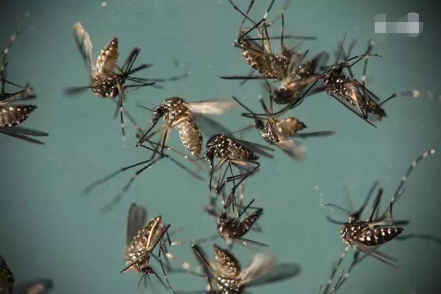 高层商品房顶楼怎么样,商品房顶楼值得购买吗