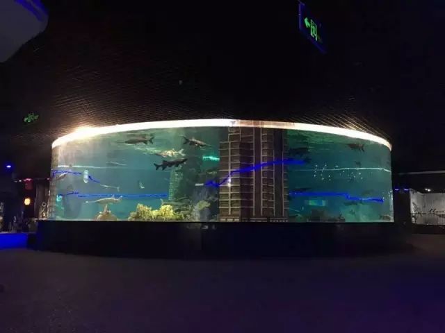 水母珊瑚海洋馆,海豚水母珊瑚篇