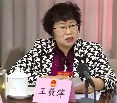 痛快现场版北京,北京两会通州代表团发言