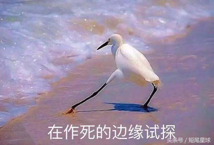 怎么给兔子洗澡啊,怎么给兔子洗澡才干净