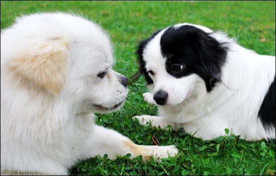 大学生创业项目计划书8000字,大学生适合的创业项目推荐