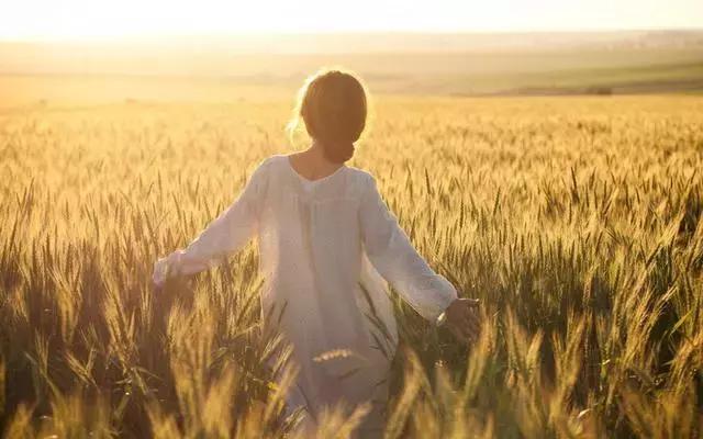 现在农资行业怎么做,农资行业好干吗