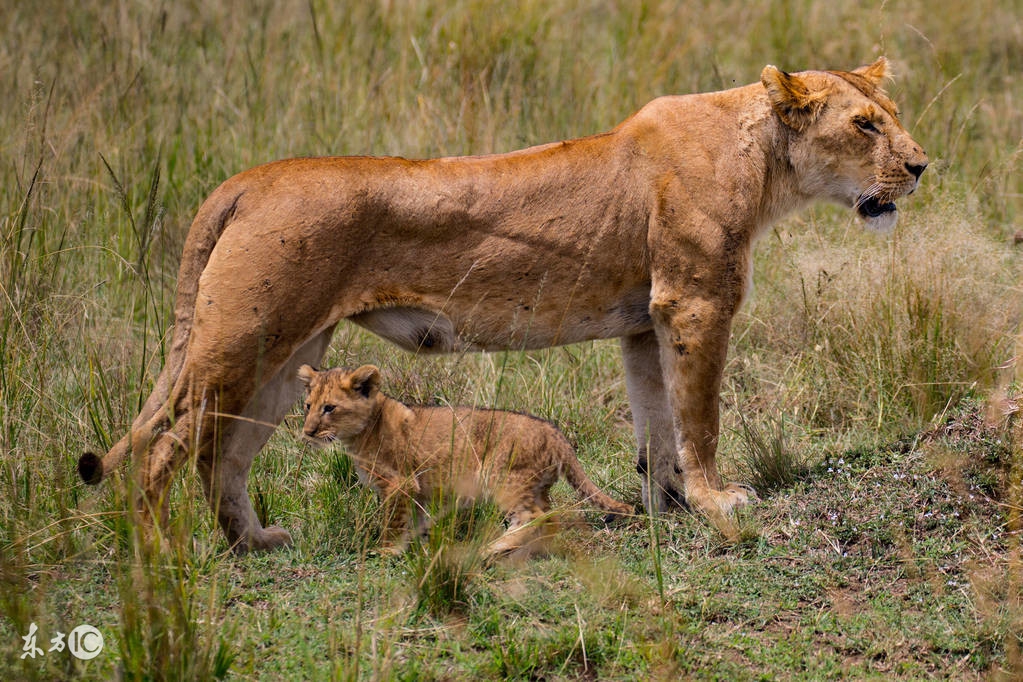 看图旅游,看图旅行
