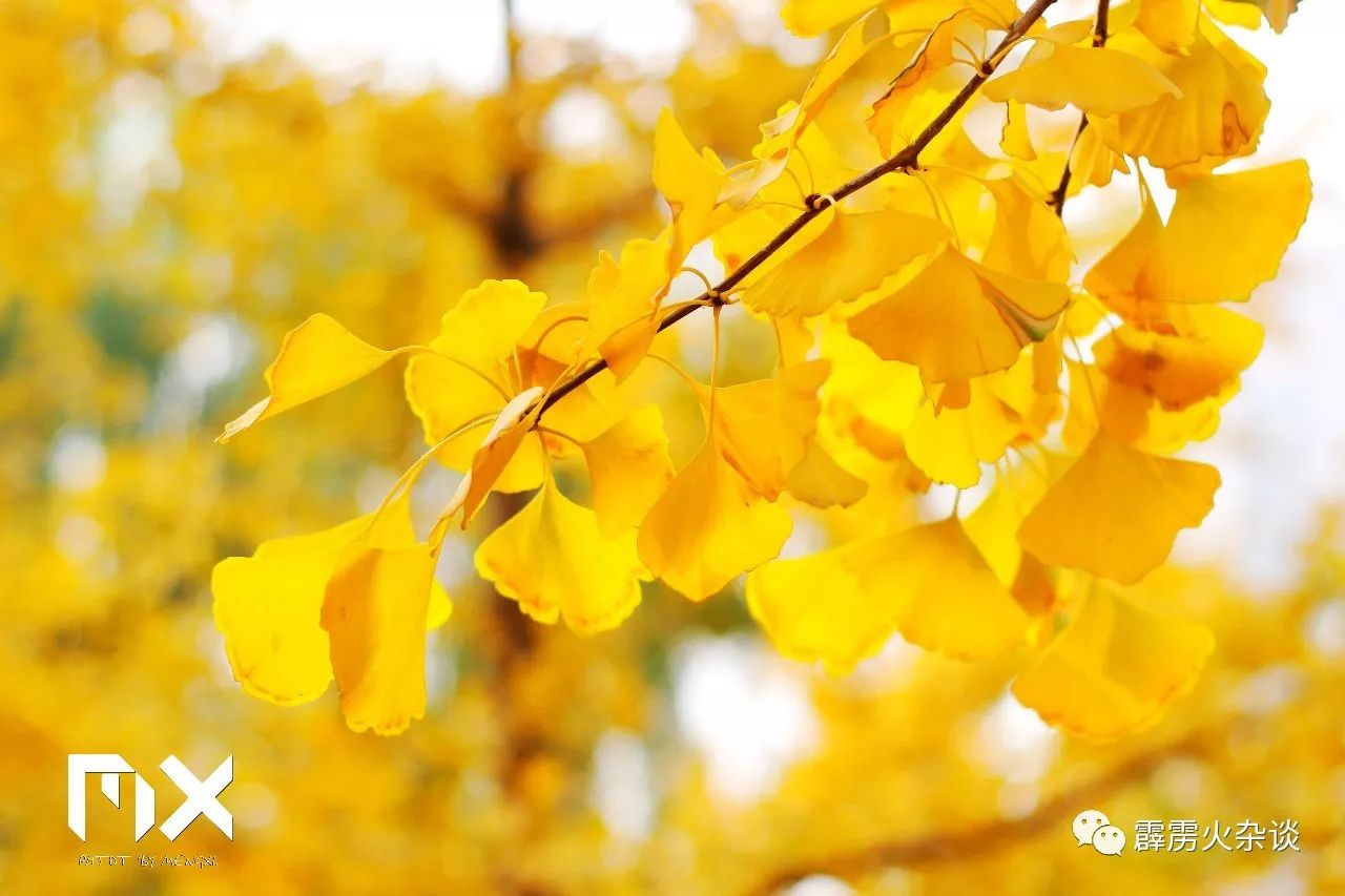 易经八卦与人体五行,易经五行阴阳气血