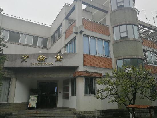 成都大熊猫基地近期新闻,成都大熊猫基地实时报道