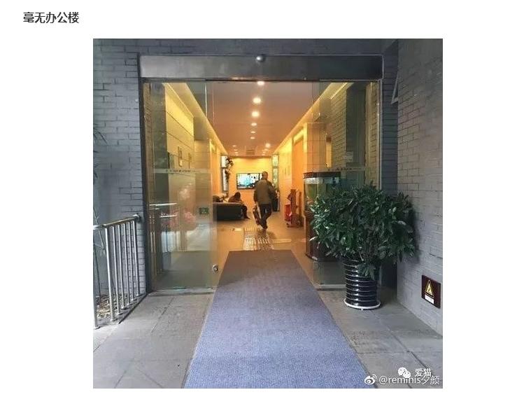 成都大熊猫基地近期新闻,成都大熊猫基地实时报道