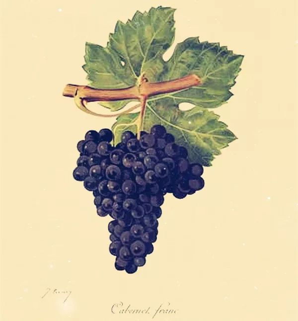 那些兼具美、雅的葡萄酒名字，如何在晚清时期诞生的