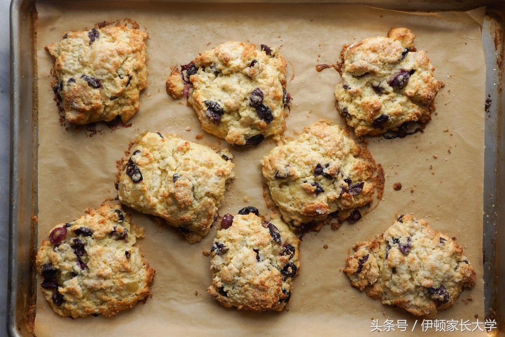 旅行青蛙最喜欢吃哪个食物,旅行青蛙都爱吃什么
