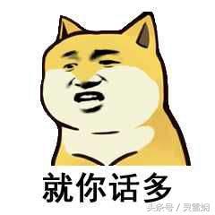 被宰客经历,被宰客的经历