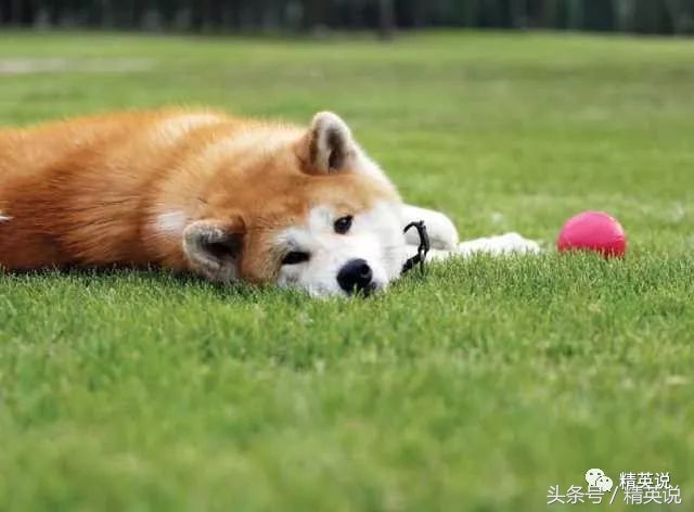 纽约曼岛,纽约曼岛名校有哪些