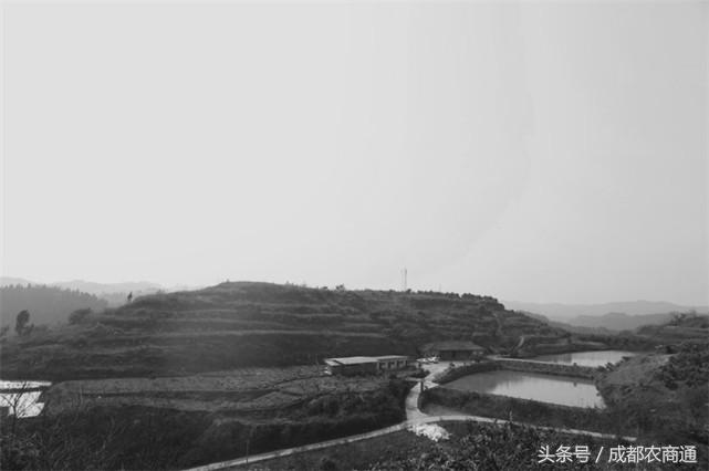 苦守荒山数十载,宝剑锋从磨砺出!