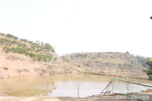 苦守荒山数十载,宝剑锋从磨砺出!