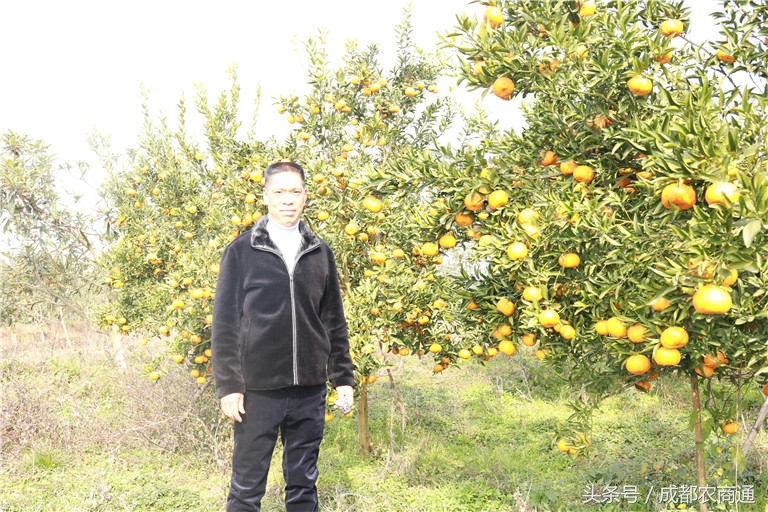 苦守荒山数十载,宝剑锋从磨砺出!