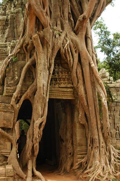 曾经东南亚最富饶最强的国家,曾经东南亚最发达的国家缅甸