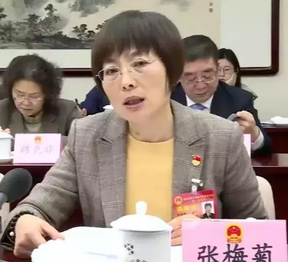 痛快现场版北京,北京两会通州代表团发言