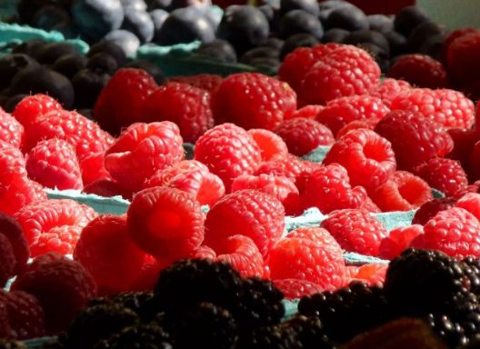 加拿大旅游一定要去的几个地方,加拿大安大略旅游攻略