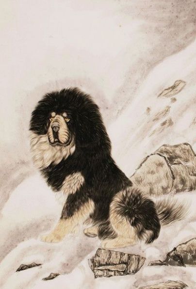 诗句关于狗,《狗》的诗词