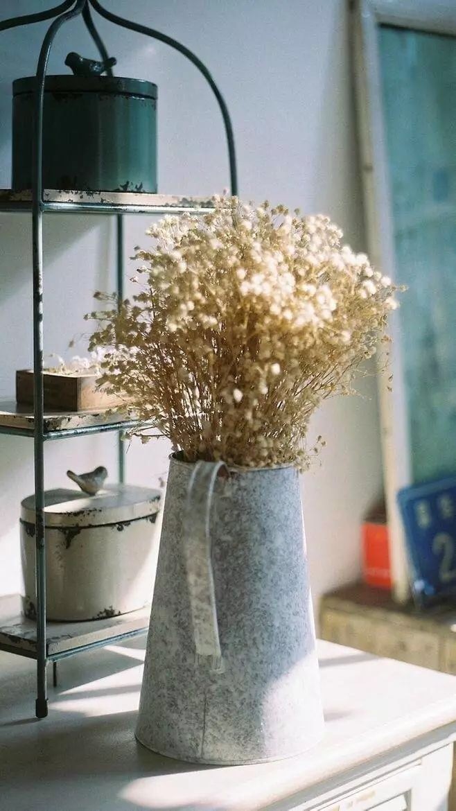 我的内心住着一个乌托邦,只想生活在自己的乌托邦里