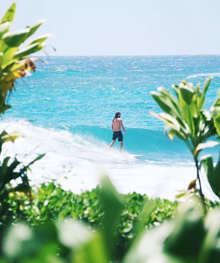 侏罗纪世界公园取景地,侏罗纪公园拍摄地点在哪里