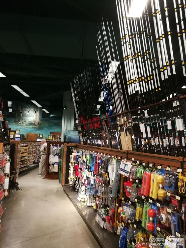 自旧金山至孟菲斯撷趣