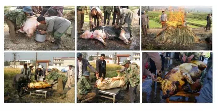 优鸟科技怎么样,优鸟科技有限公司