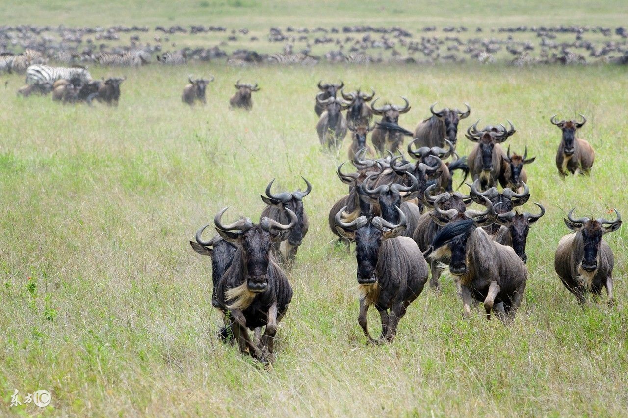 看图旅游,看图旅行
