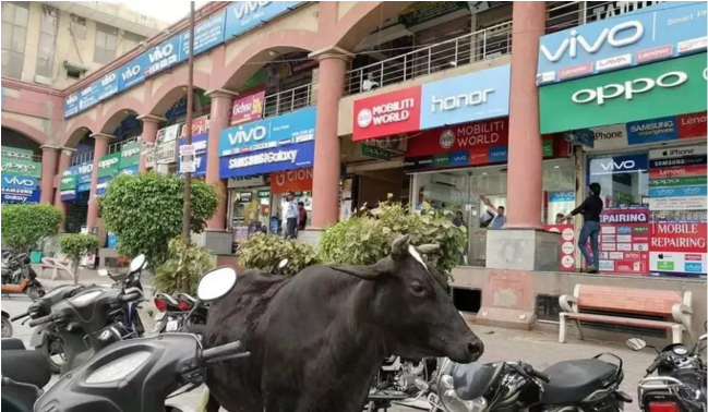 全球实力打脸！没有中国制造，你家里几乎一无所有！逆袭已经开始