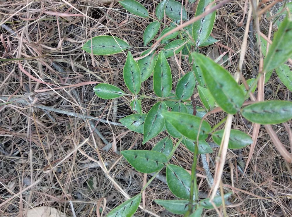 交易精髓交易之道,交易之道及哲学