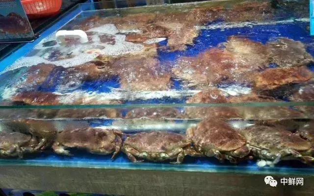 水产养殖技术干货,带鲜味的动物食材