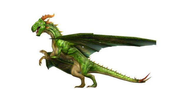 属龙人在哪一年运气比较好呢,属龙人在哪一年运气最好呢