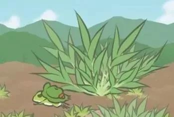 旅行青蛙细思极恐的十个细节,旅行青蛙史上最全攻略3分钟