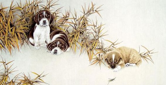 诗句关于狗,《狗》的诗词