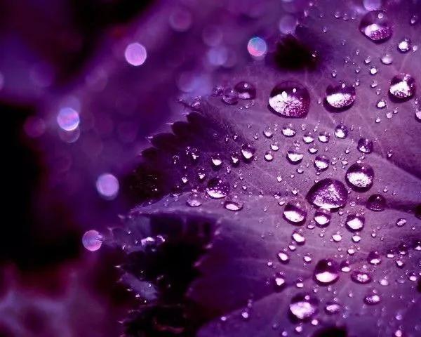 好用又便宜的老牌国货推荐,国货品牌超级好用