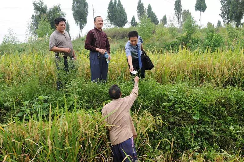 检察机关司法为民理念,检察院司法为民工作总结