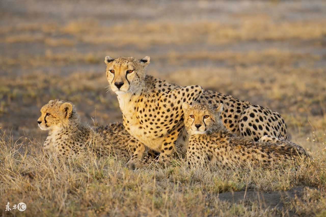 看图旅游,看图旅行