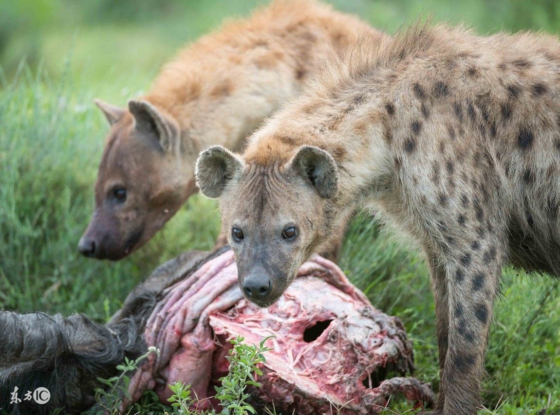 看图旅游,看图旅行