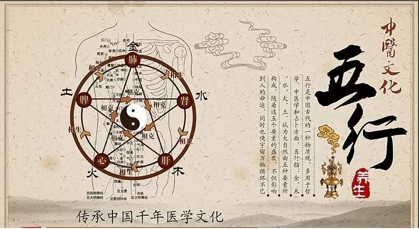 易经八卦与人体五行,易经五行阴阳气血