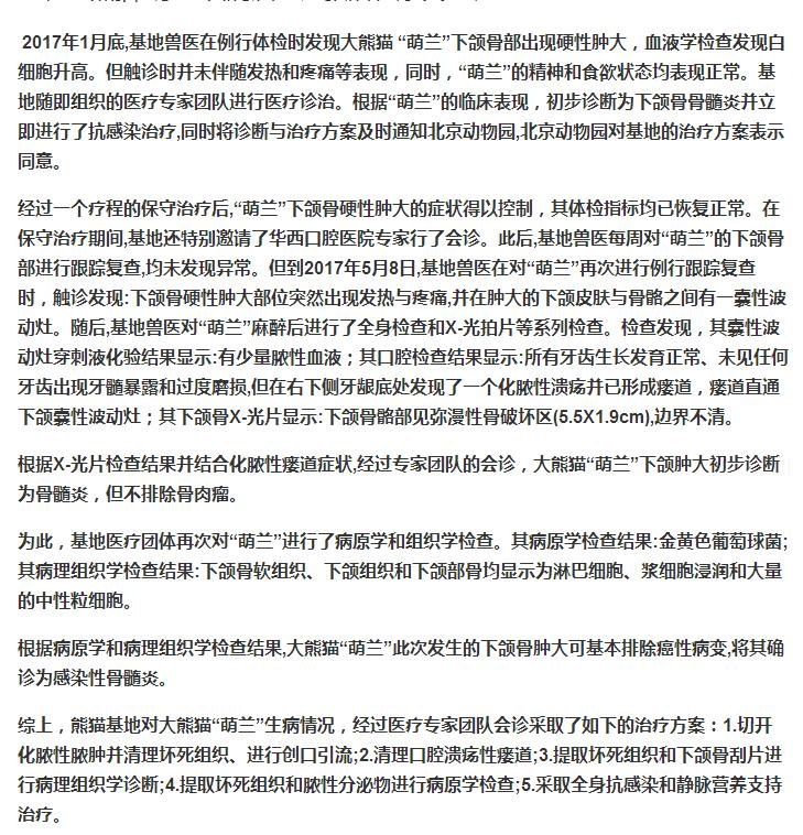 成都大熊猫基地近期新闻,成都大熊猫基地实时报道