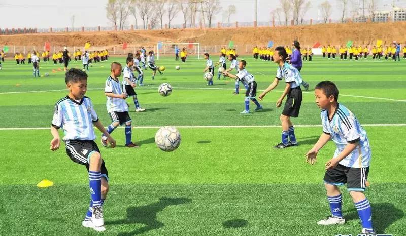 校园足球生命力在于体教结合,校园足球不要有球可踢