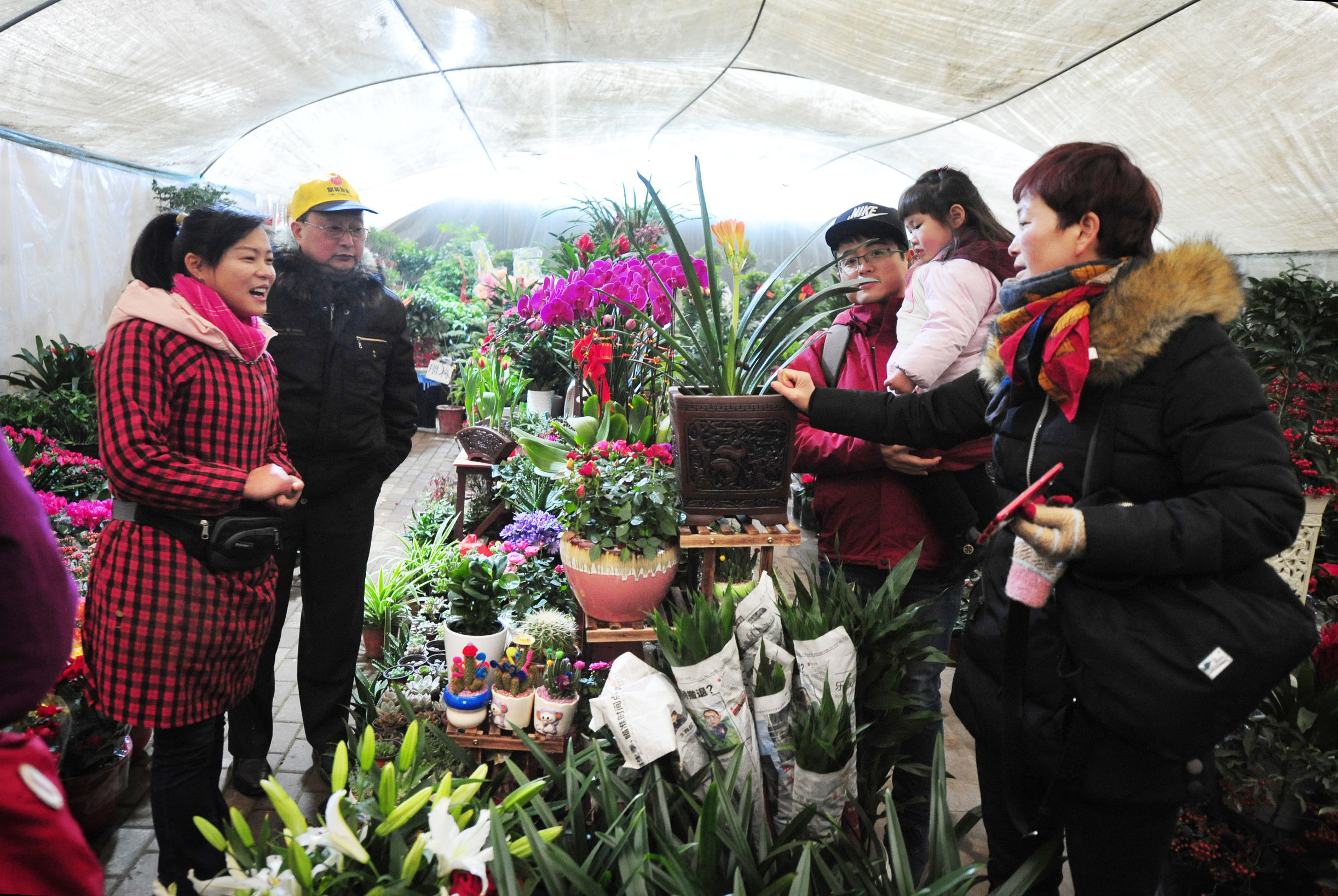 第七届肥西旅游年货节暨紫蓬山腊八祈福活动举办