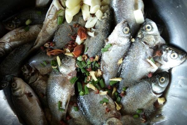 适合所有人吃刺少营养好的鱼,细鳞鱼怎么做鱼刺少