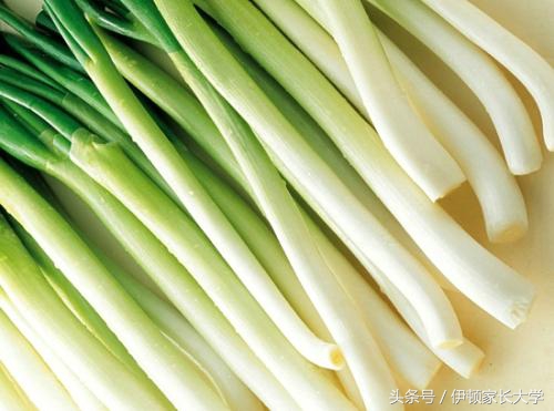 旅行青蛙最喜欢吃哪个食物,旅行青蛙都爱吃什么