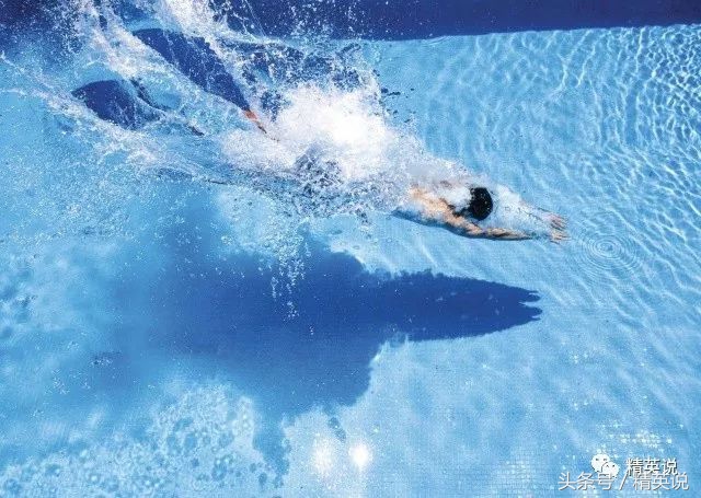 纽约曼岛,纽约曼岛名校有哪些