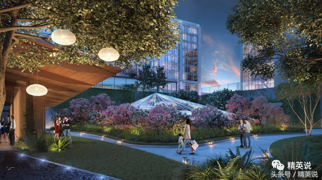 纽约曼岛,纽约曼岛名校有哪些